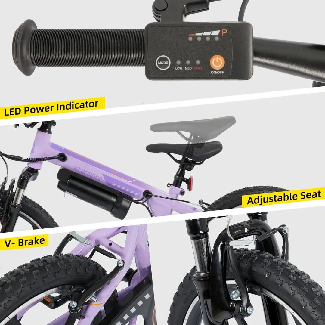 Kinder Jugendliche E-Mountainbike 20 Zoll 250W Akku 5/6