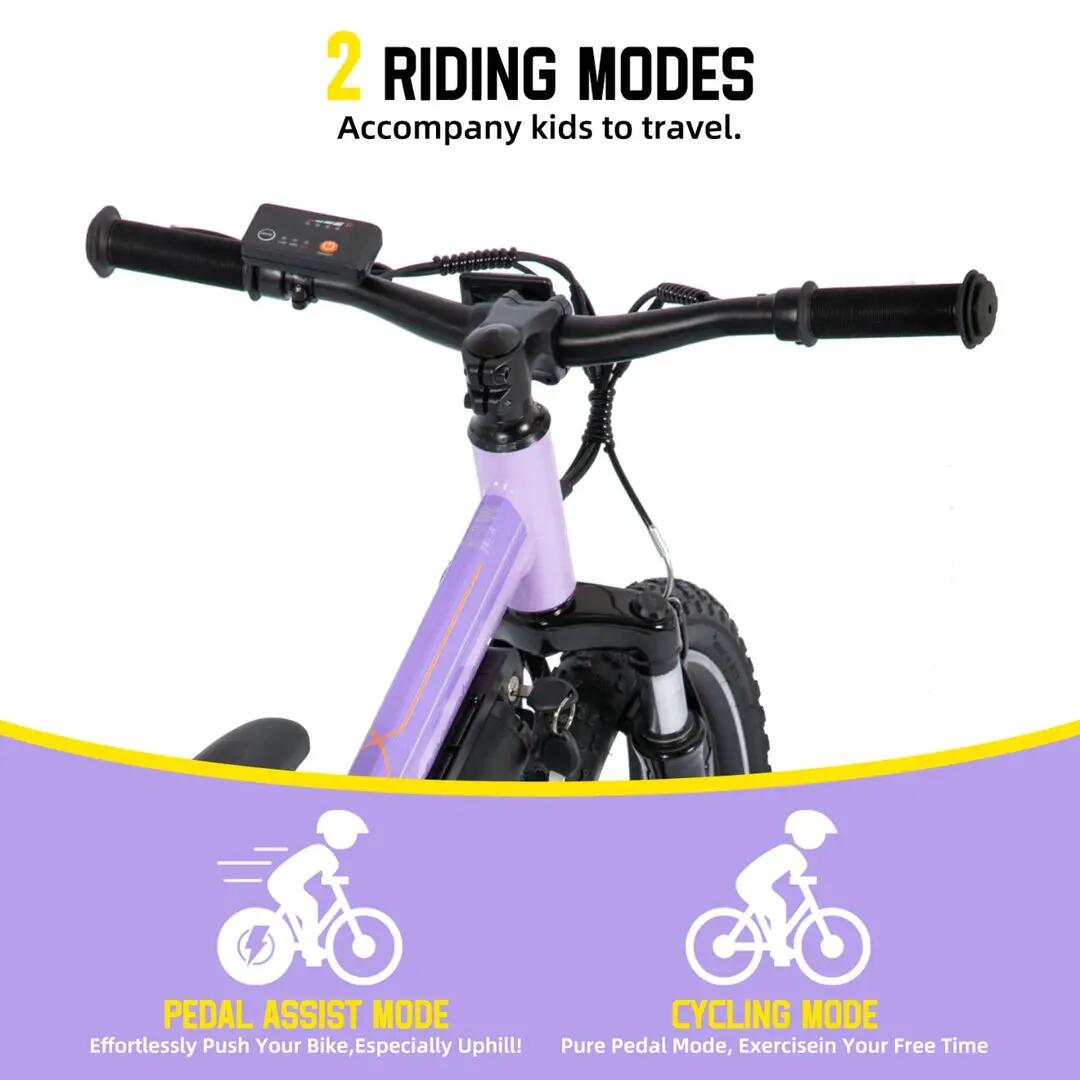 Kinder Jugendliche E-Mountainbike 20 Zoll 250W Akku 4/6