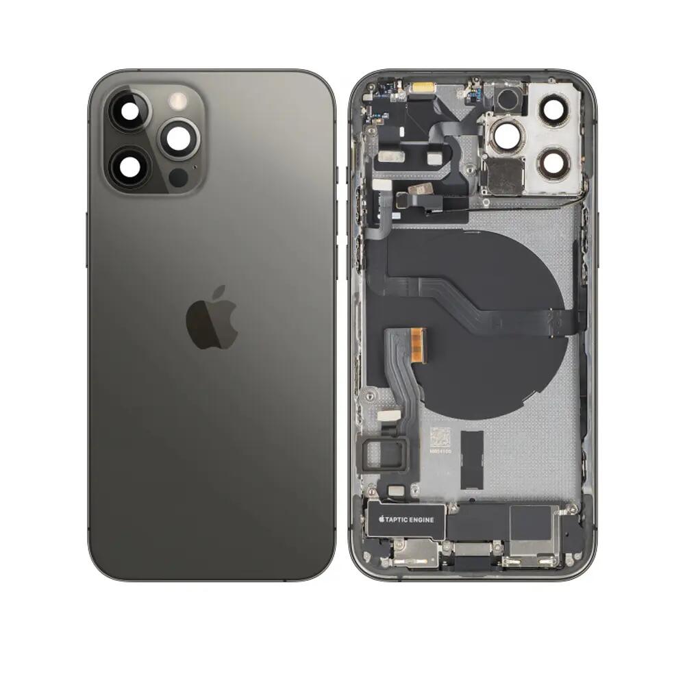 APPLE picture