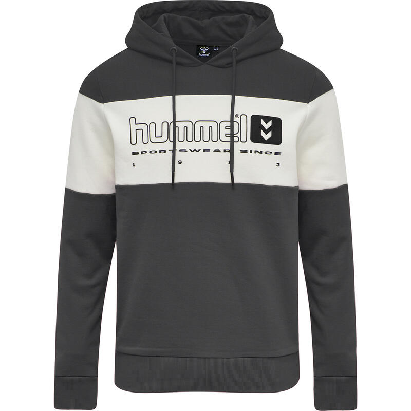 Hooded sweatshirt Hummel hmlLGC musa