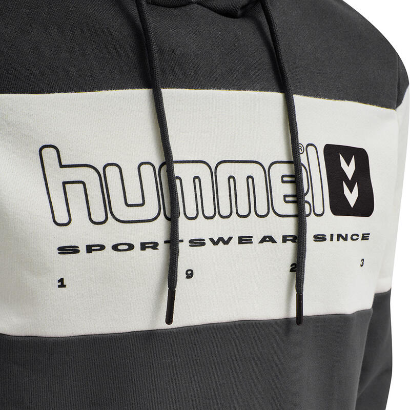 Hooded sweatshirt Hummel hmlLGC musa