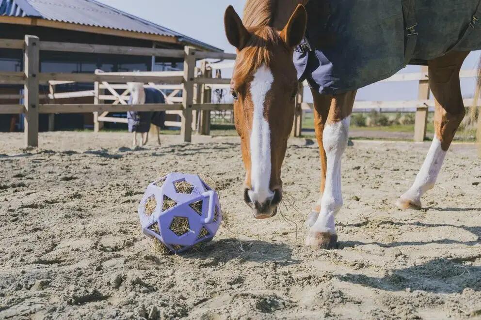Kentucky Relax Paard Spel & Hooi Bal Grijs - 6/7