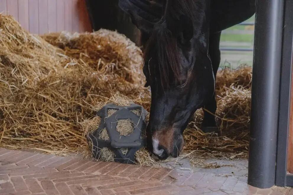 Kentucky Relax Paard Spel & Hooi Bal Grijs - 5/7