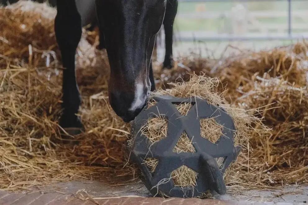 Kentucky Relax Paard Spel & Hooi Bal Grijs - 4/7