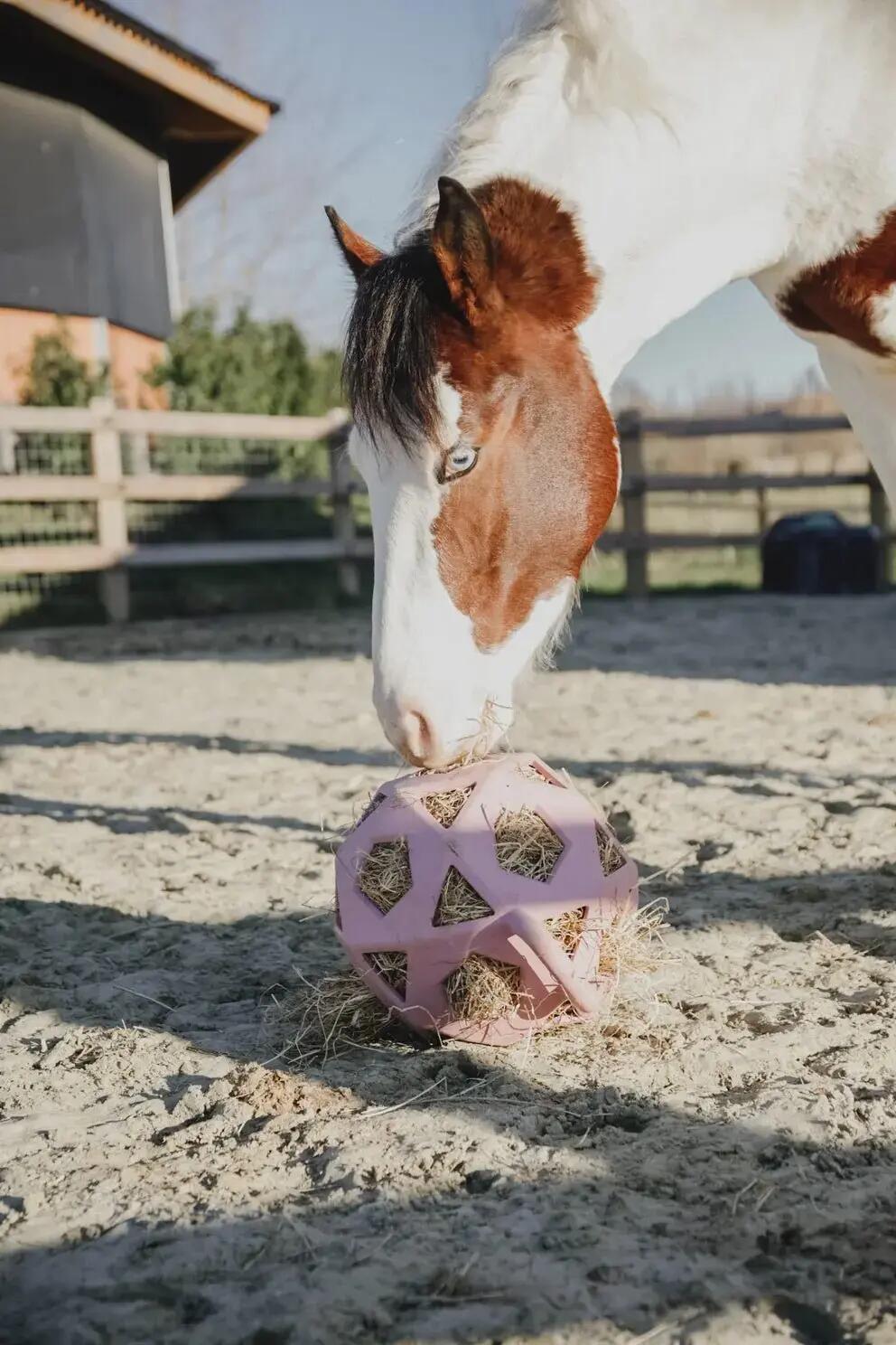 Kentucky Relax Paard Spel & Hooi Bal Grijs - 3/7