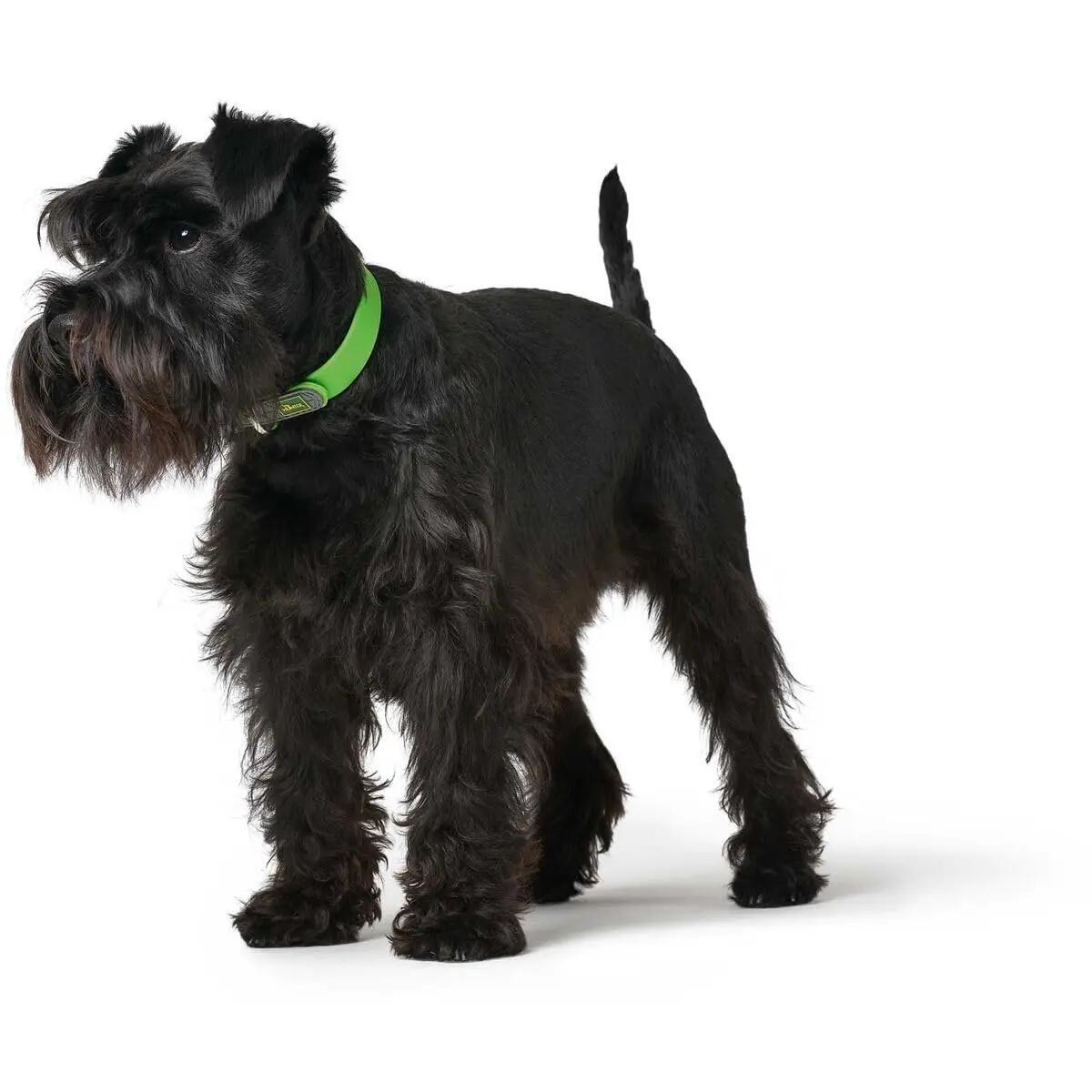Chien sports canins — Collier Convenience vert pomme, taille 60 / L 3/3