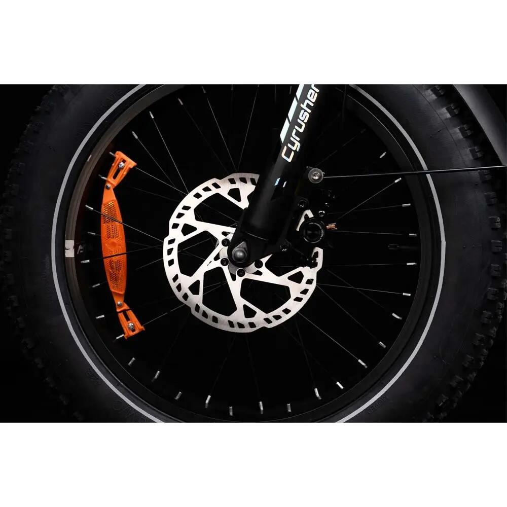 Bici elettrica per adulti Rumble 2.0 | Batteria da 48V 18Ah | 20×4,0" 5/8