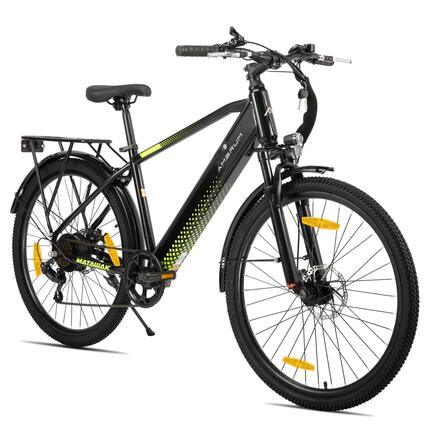 Dames Heren Elektrische Stadsfiets 26 inch 250W 36V 7V Schijfremmen