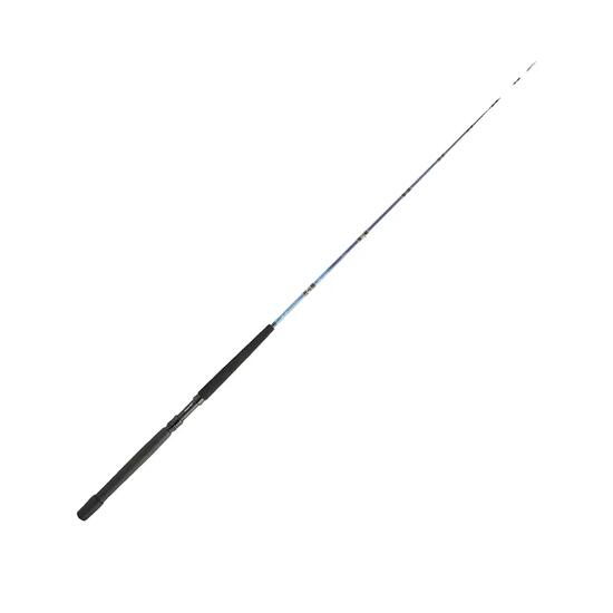 Canne à pêche Daiwa Tanacom Boat