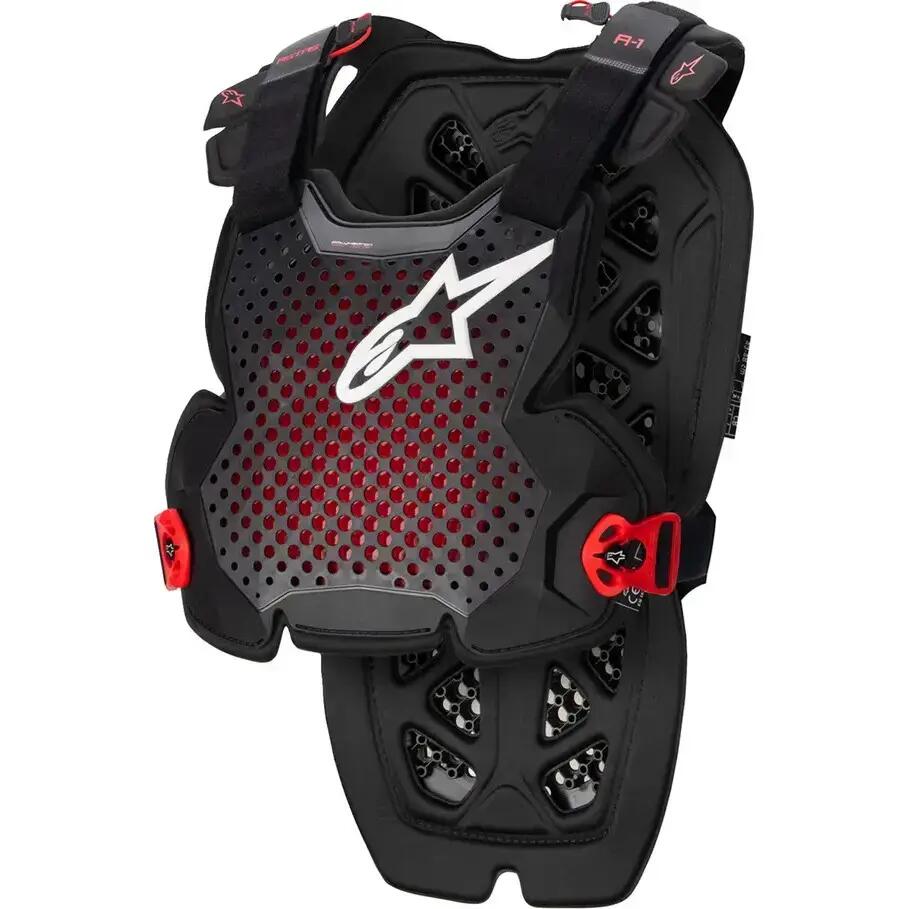 ALPINESTARS picture