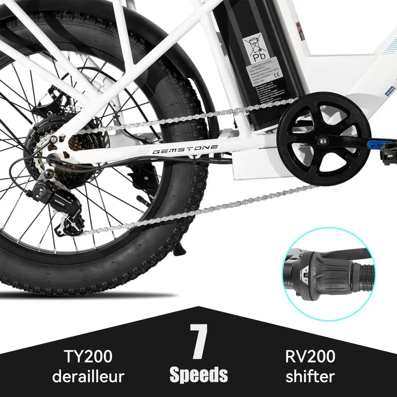 Mujer Hombre Bicicleta Eléctrica Fatbike 20 Pulgadas 7 Velocidades 36V 13Ah 6/7