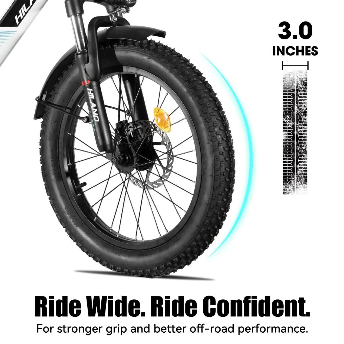 Mujer Hombre Bicicleta Eléctrica Fatbike 20 Pulgadas 7 Velocidades 36V 13Ah 4/7