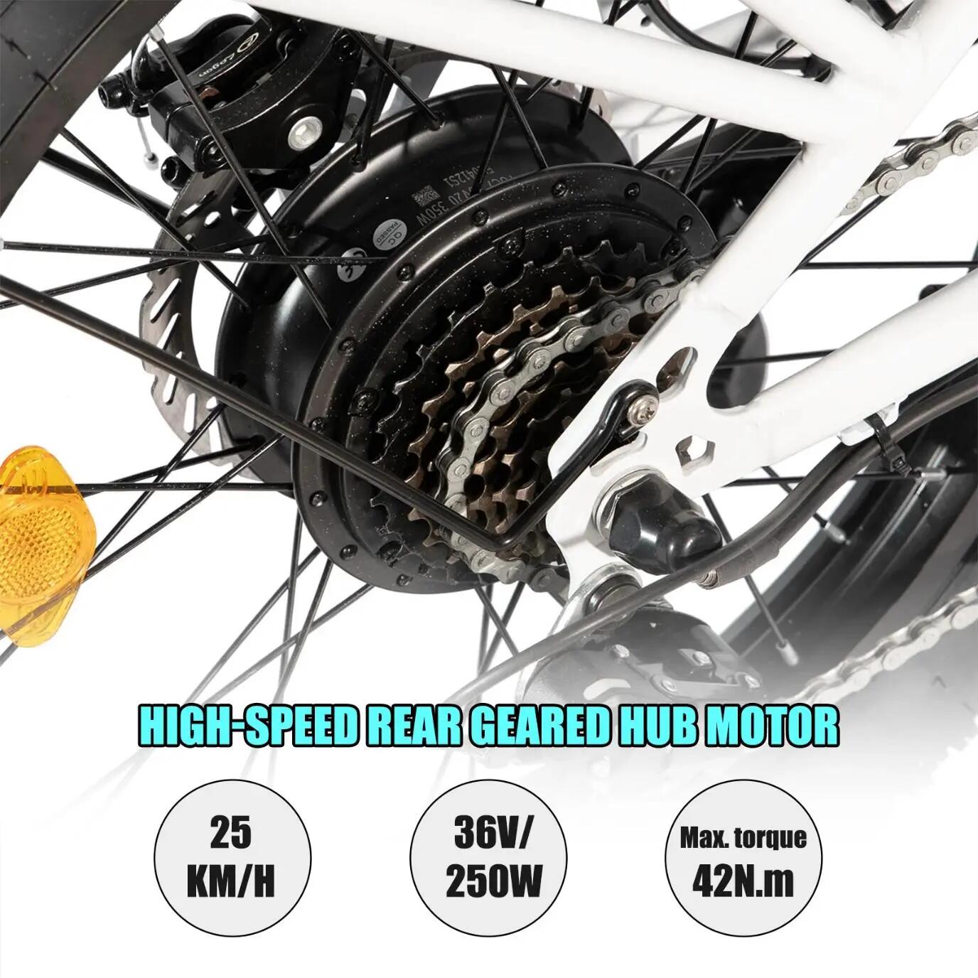 Mujer Hombre Bicicleta Eléctrica Fatbike 20 Pulgadas 7 Velocidades 36V 13Ah 3/7