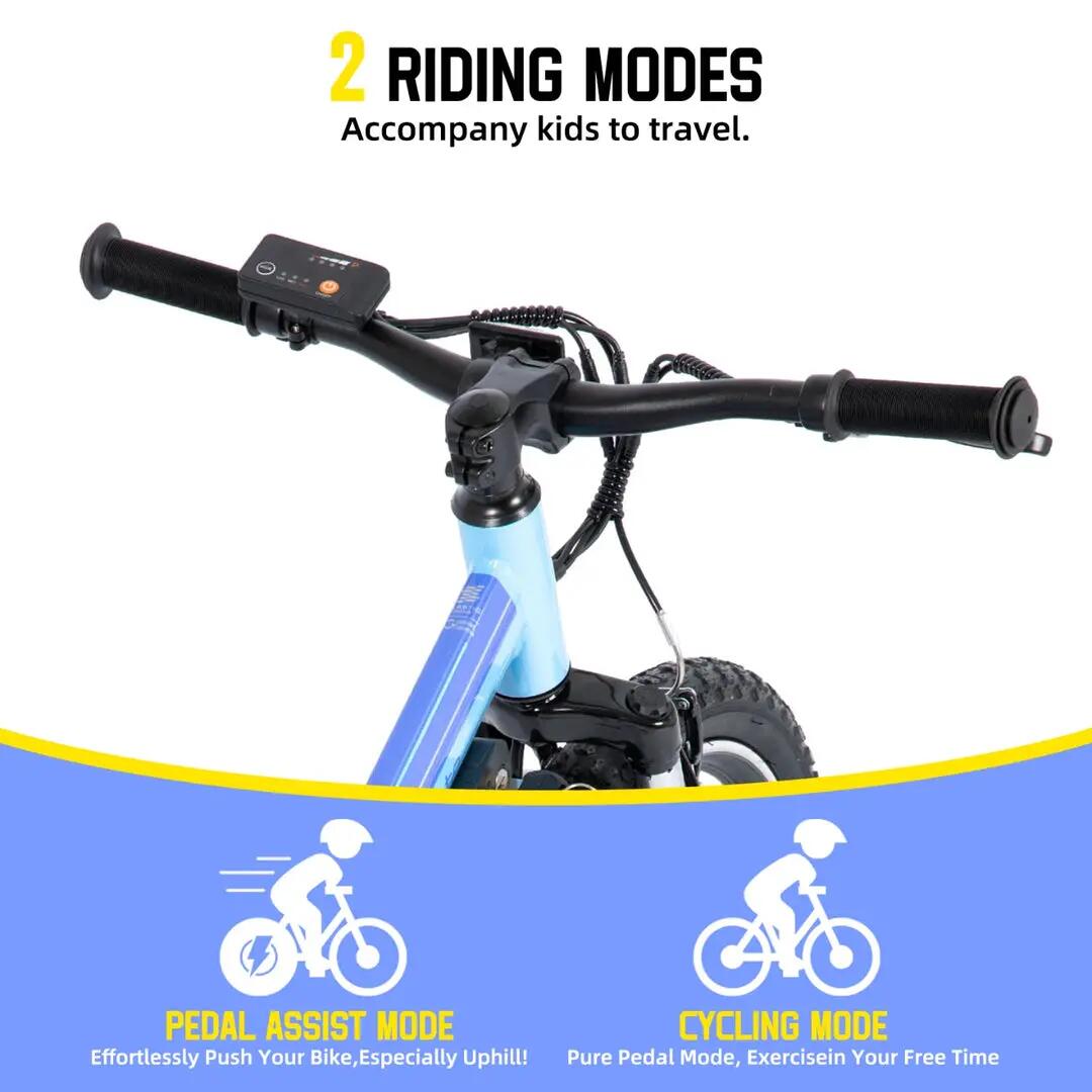 Kinder Jugendliche E-Mountainbike 20 Zoll 250W Akku 4/6