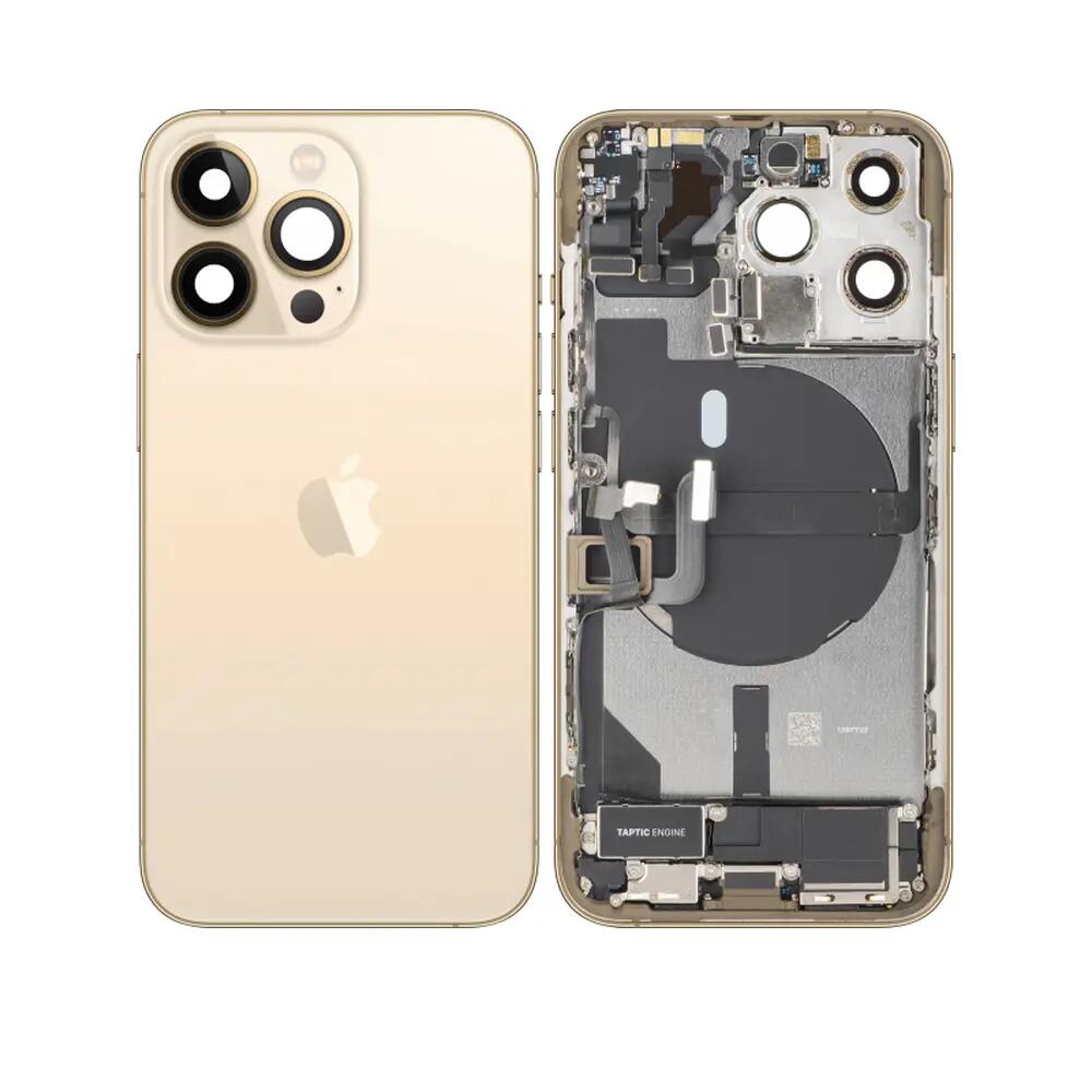 APPLE picture