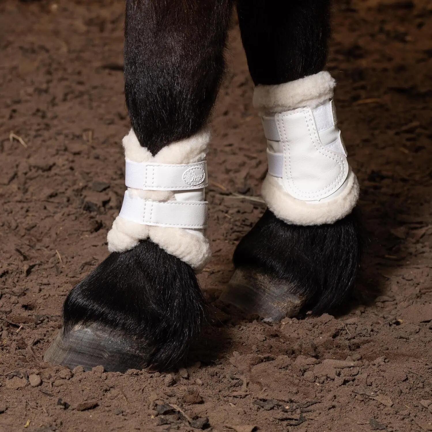 HARRYS HORSE picture