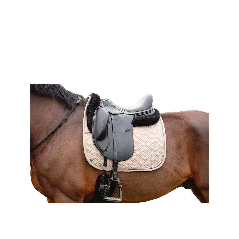 Sella da dressage Anky xb25001 3c Beige 5/5