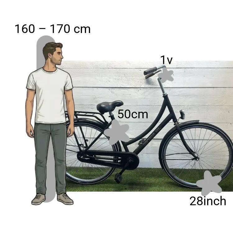 Vélo d’occasion Cortina U1 2/4