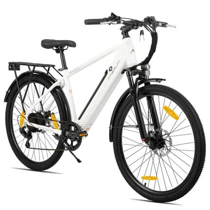 Dames Heren Elektrische Stadsfiets 26 inch 250W 36V 7V Schijfremmen
