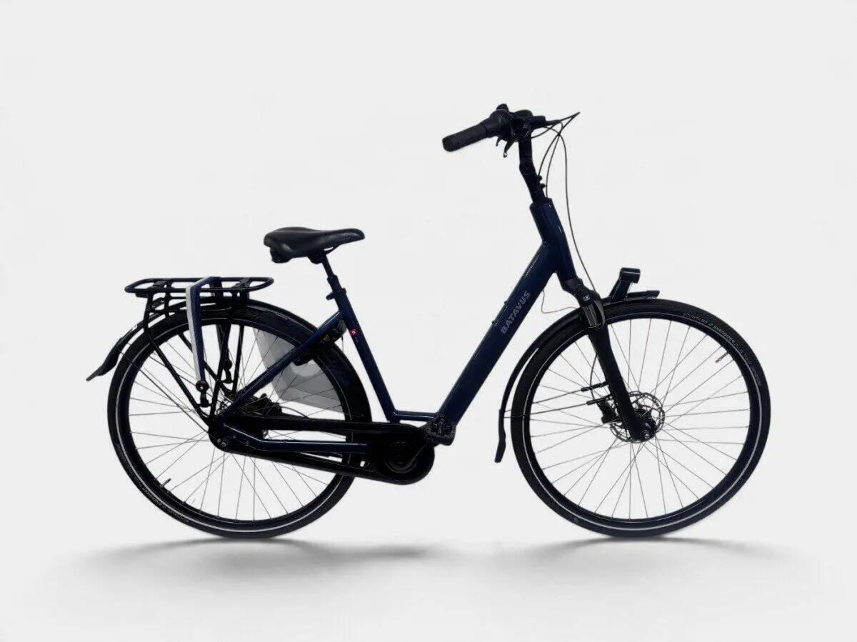 BATAVUS picture