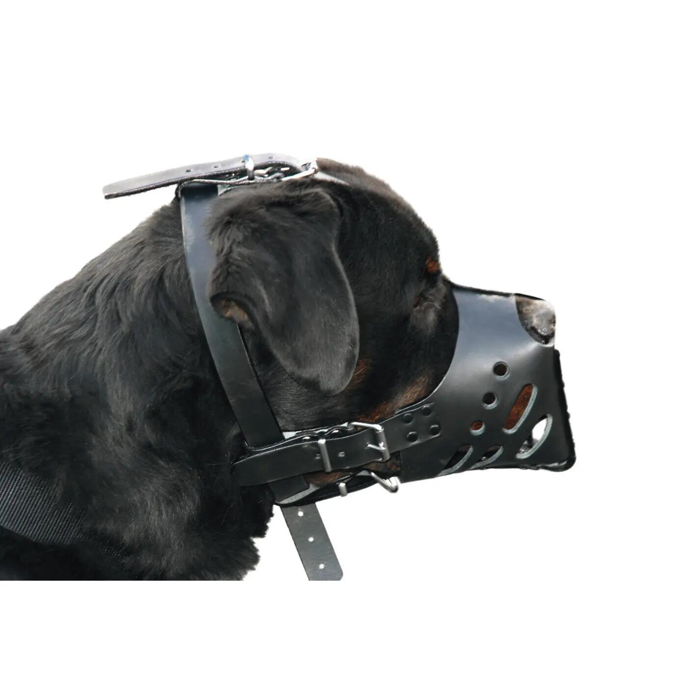 Museruola per cane con cordino in pelle Martin Sellier Amstaff 2/2