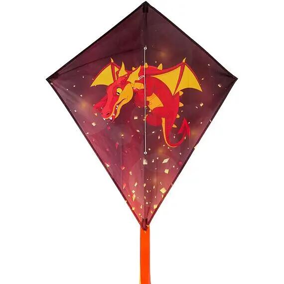 DRAGON FLY picture