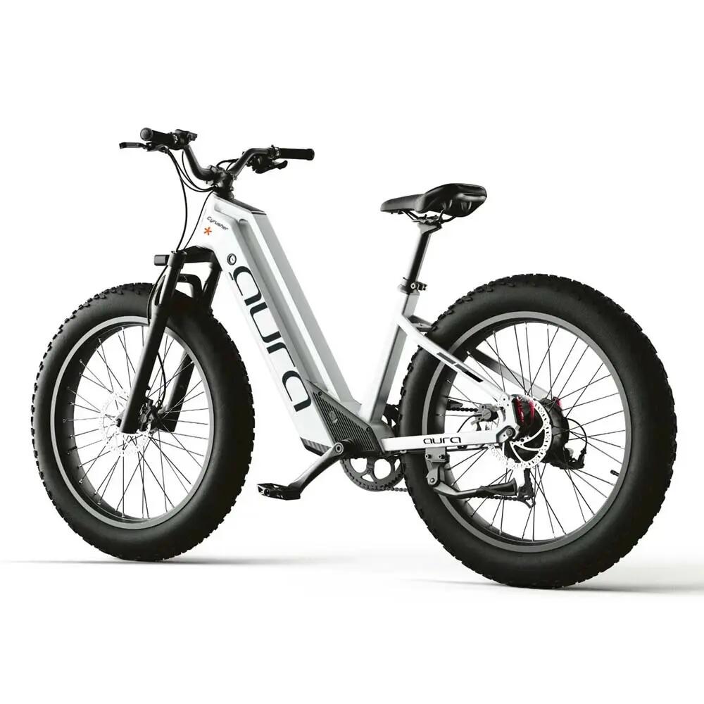 Bicicleta eléctrica para adultos Aura, neumático 26×4,0", batería de 52V 15Ah 4/8