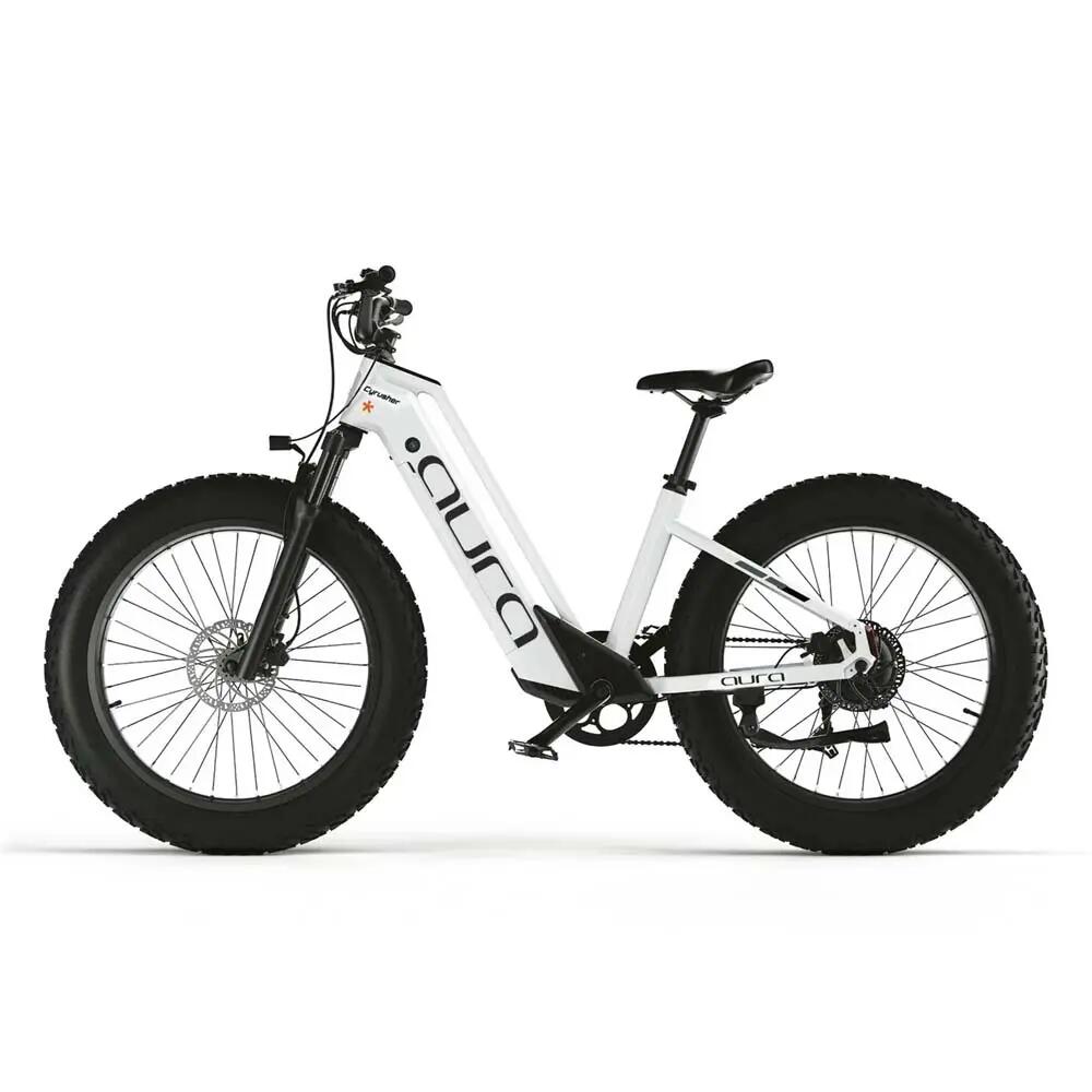 Bicicleta eléctrica para adultos Aura, neumático 26×4,0", batería de 52V 15Ah 2/8