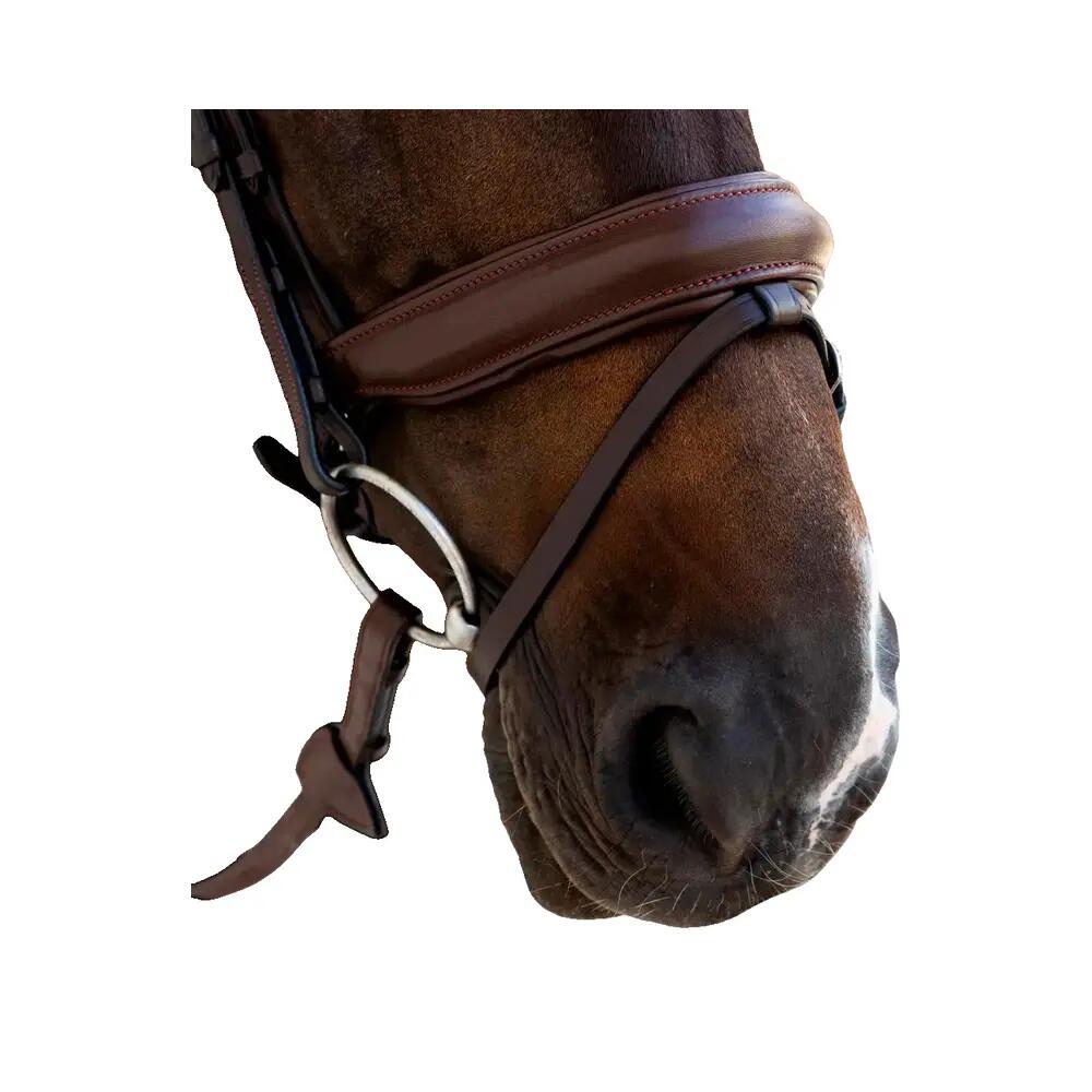 Bridon Dyon Medium Noseband en cuir souple 3/5