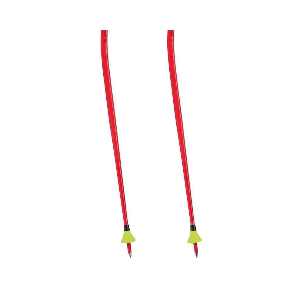 Bâtons de ski Leki WCR TBS GS 3D Aluminium 4/5
