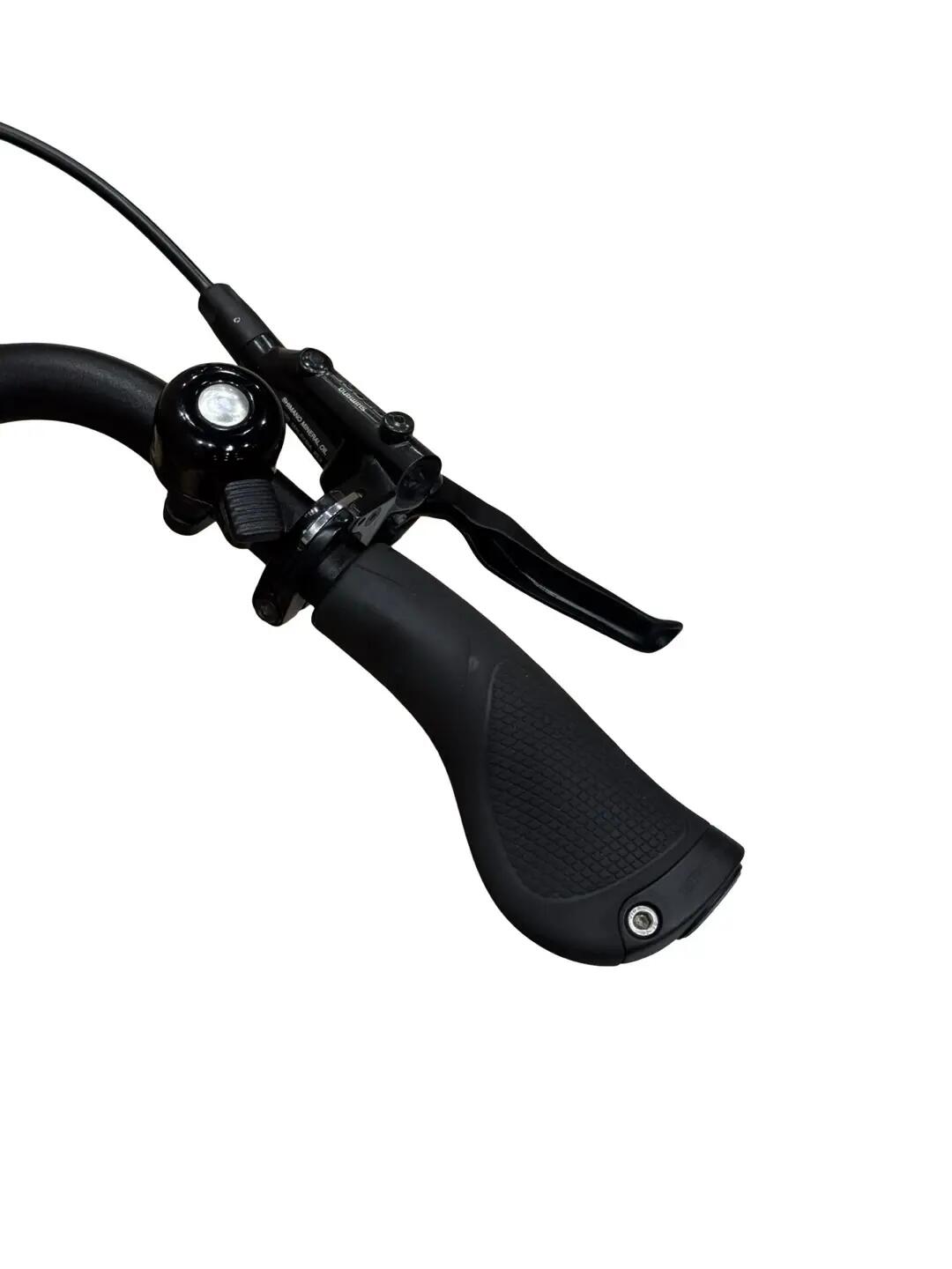 Refurbished - E-Bike Riese & Müller Nevo3 GT Automatic Enviolo - Wie neu 9/13