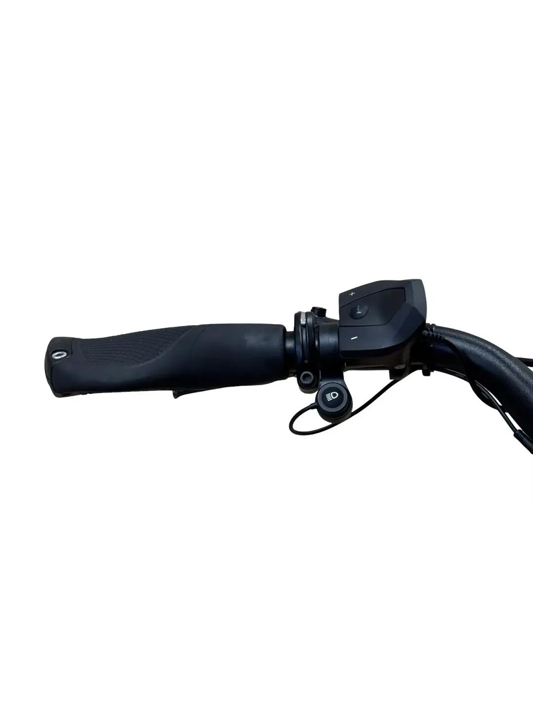 Refurbished - E-Bike Riese & Müller Nevo3 GT Automatic Enviolo - Wie neu 7/13