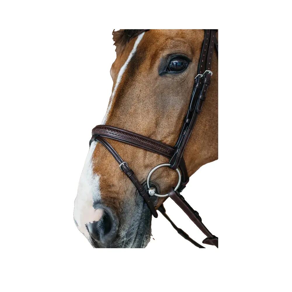 Dyon Braided Bridle — Brown 2/4
