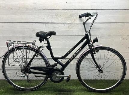 Gebraucht Giant Blazer