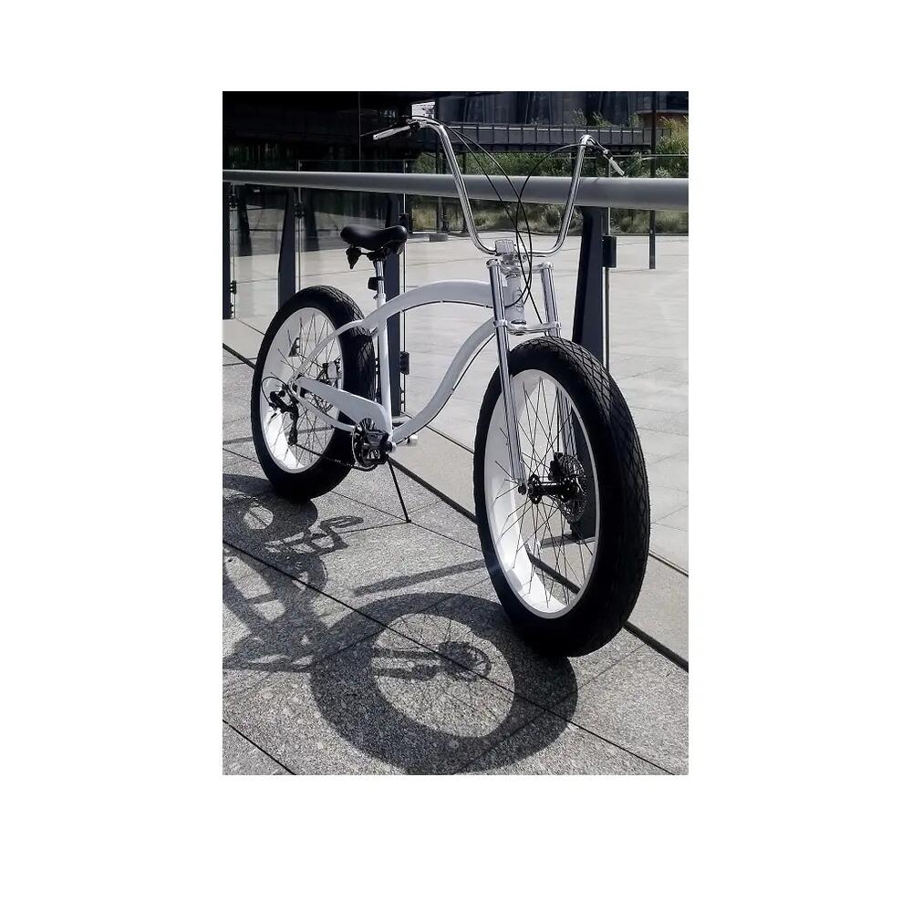Vélo de montagne Chaoyang Sand Storm 4/4