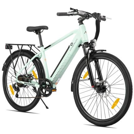 Dames Heren Elektrische Stadsfiets 26 inch 250W 36V 7V Schijfremmen