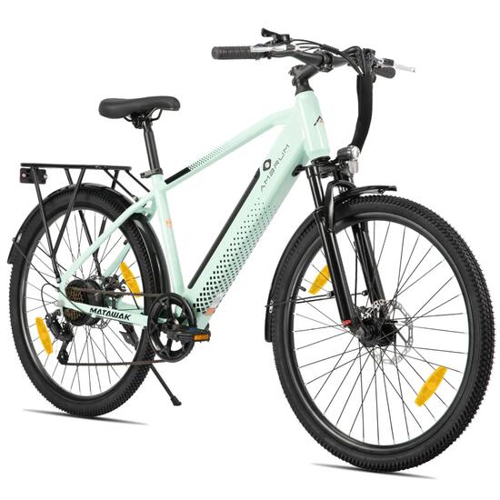 Dames Heren Elektrische Stadsfiets 26 inch 250W 36V 7V Schijfremmen