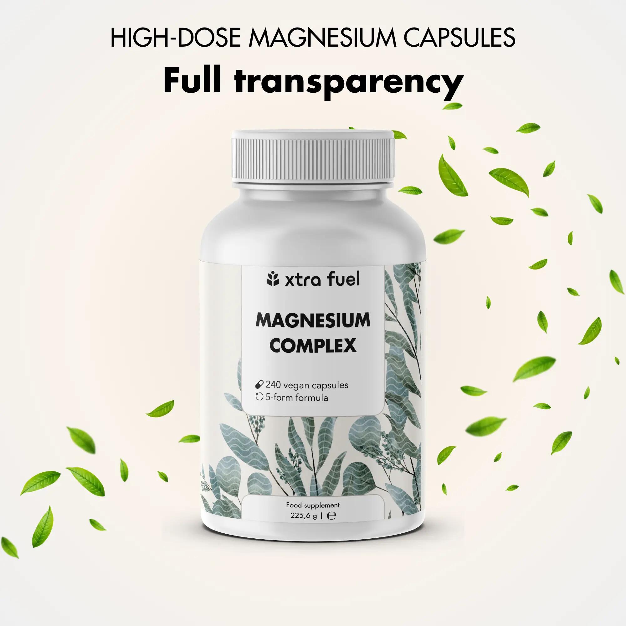 Magnesium Komplex 400 mg - 240 Kapseln pro Dose - Bisglycinat, Citrat & Malat 8/9