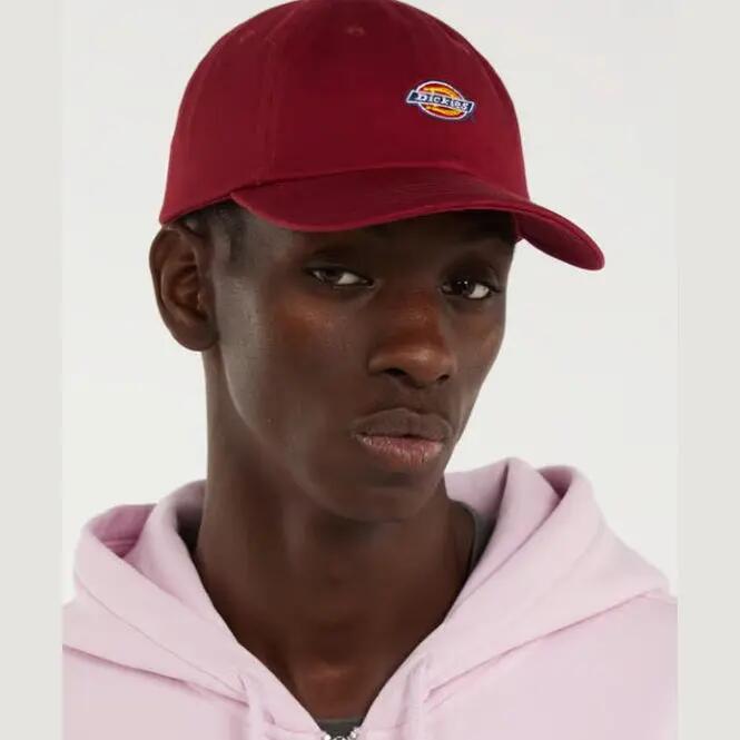 DICKIES picture
