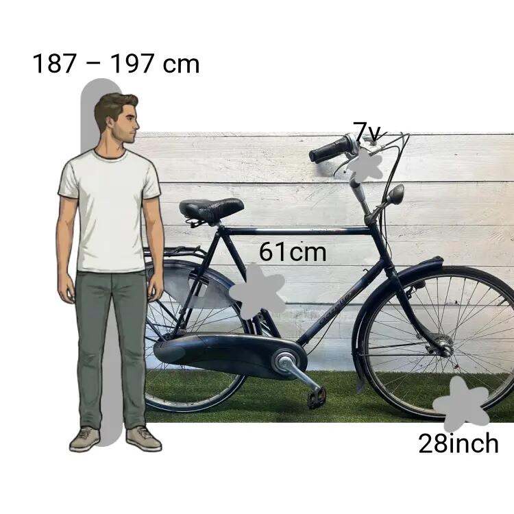 De segunda mano Gazelle Impala 2/4