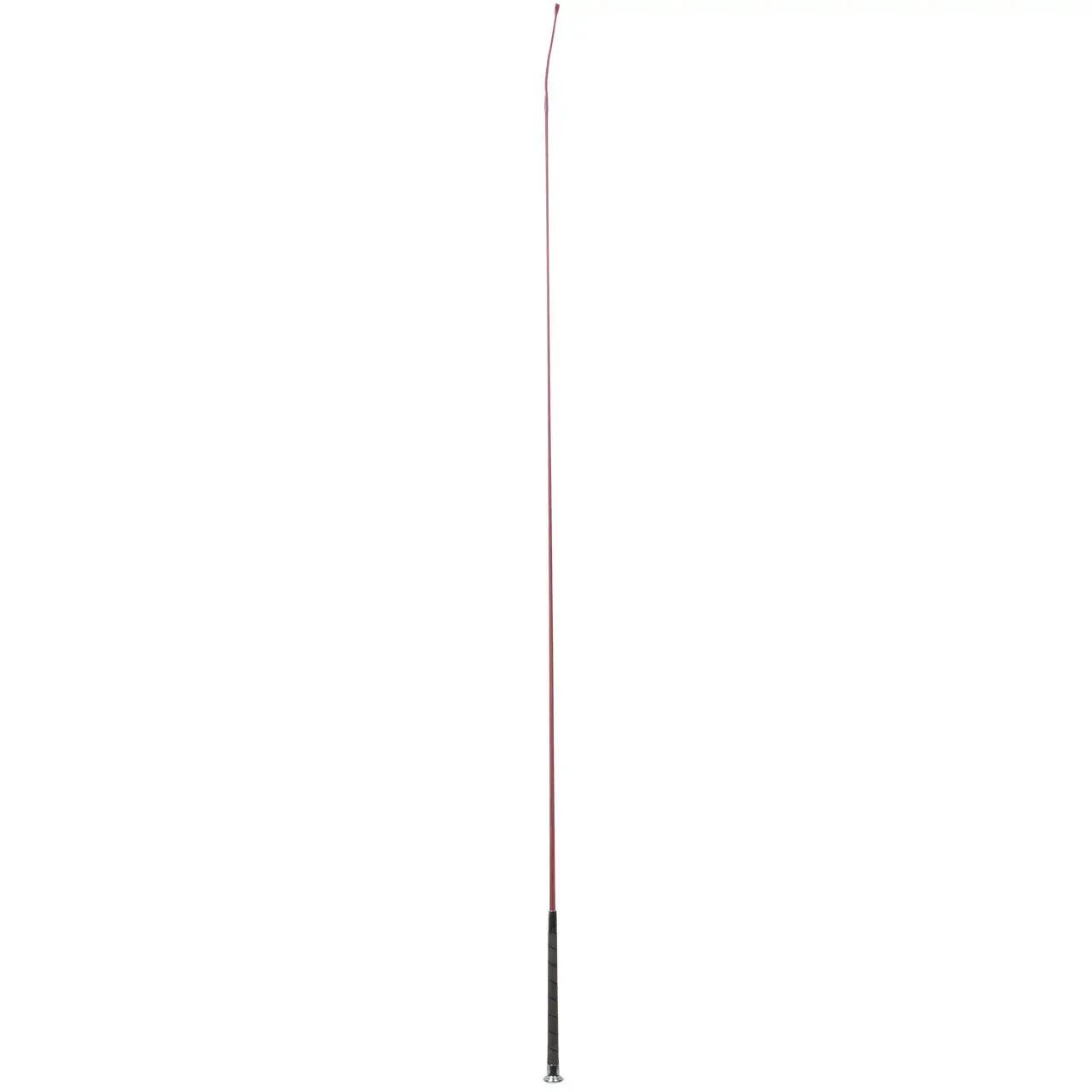 Dressurgerte Döbert Sun-whip 1/1