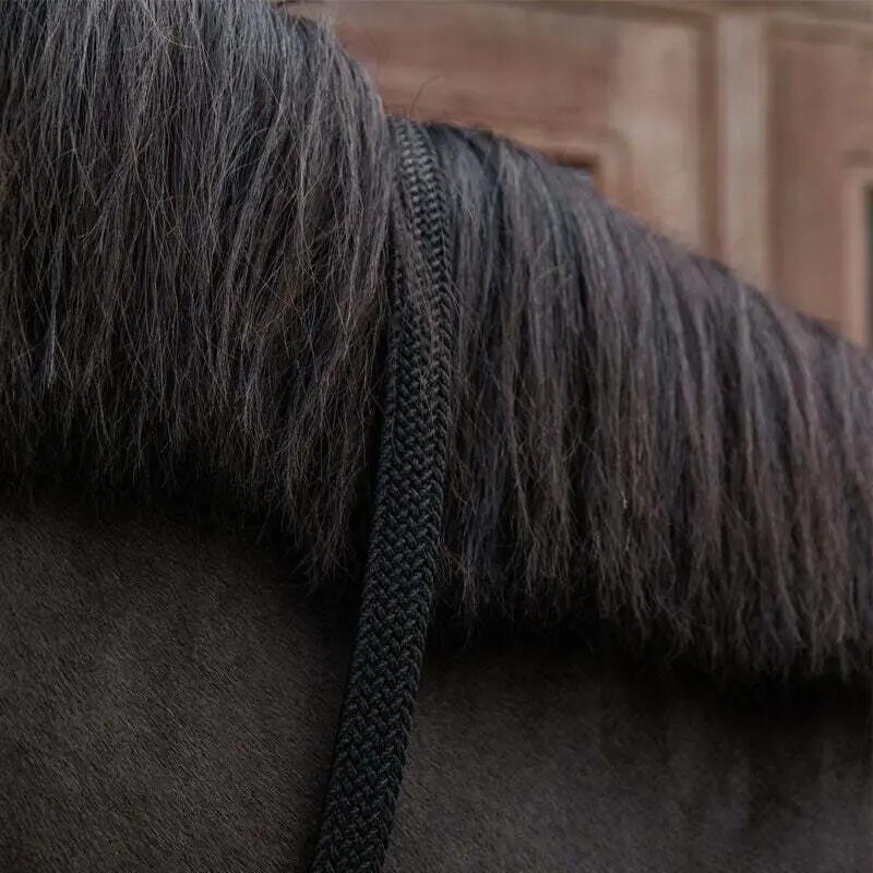 Lunghina cavallo in nylon Kentucky 4/4