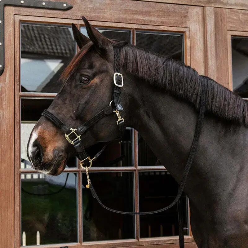 Lunghina cavallo in nylon Kentucky 2/4