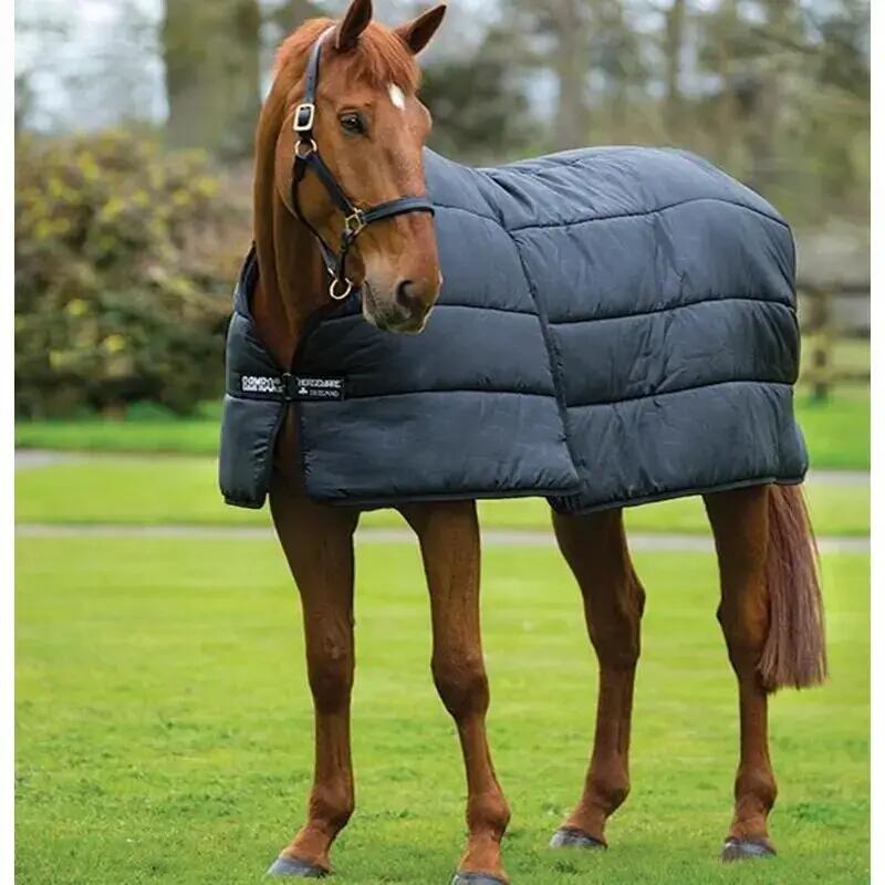 HORSEWARE IRELAND picture