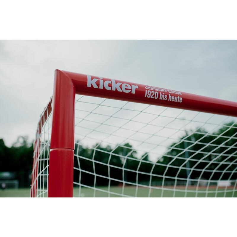 Voetbal goal Expert KICKER EDITION - 300 x 200 cm