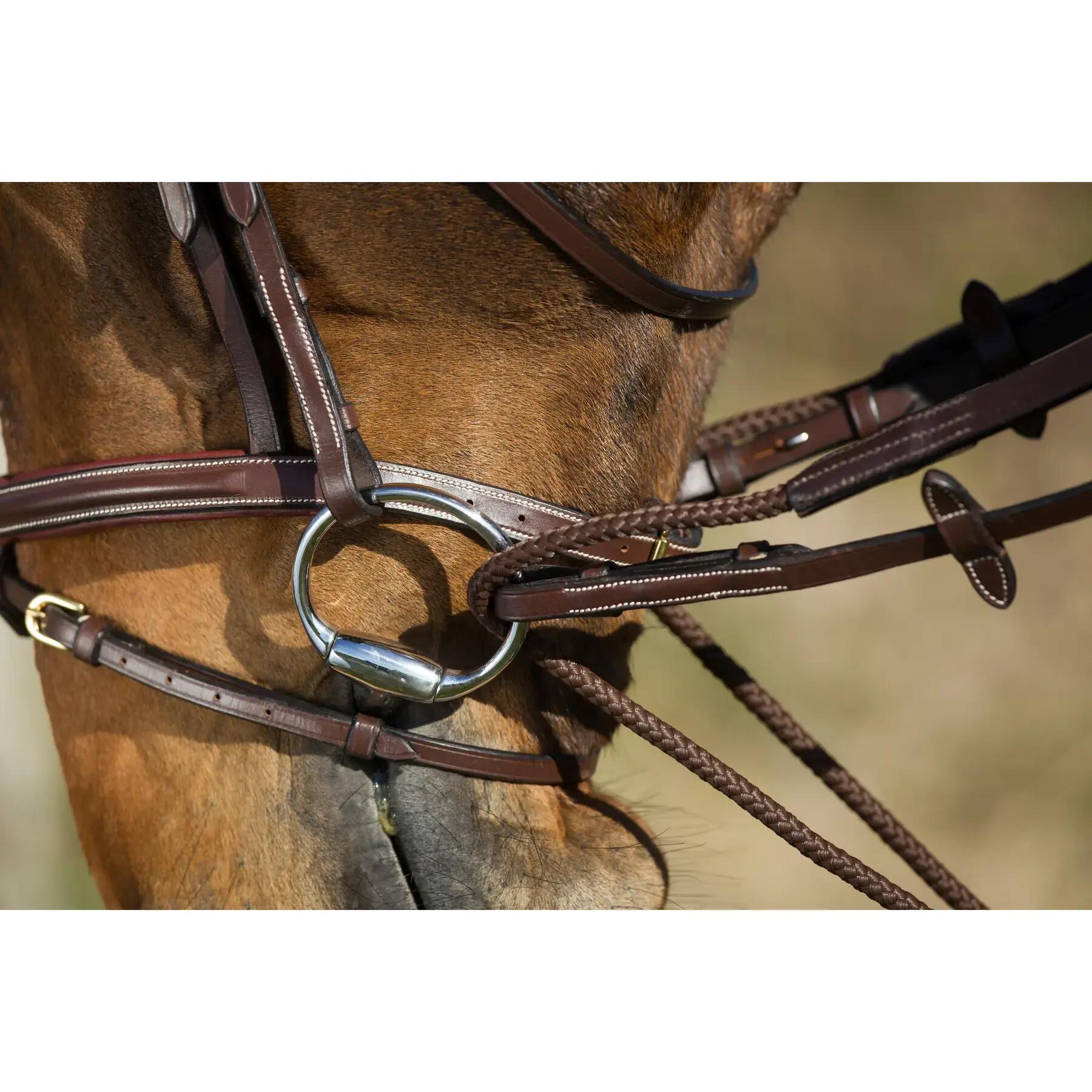 Rênes pour cheval équitation allemandes en cuir + corde HFI 2/3