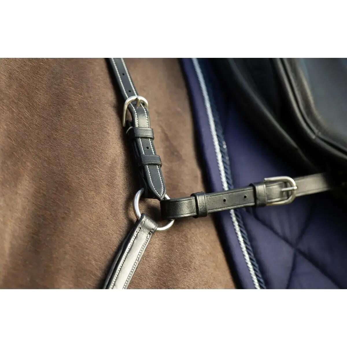Jachthalsband voor paarden HFI Long Bridge 2/2