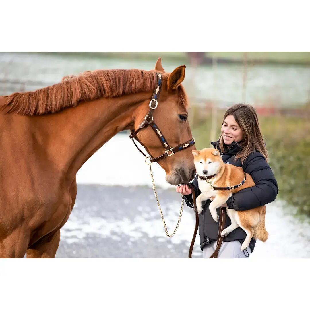 Leren halster voor paarden HFI Polo 2/2