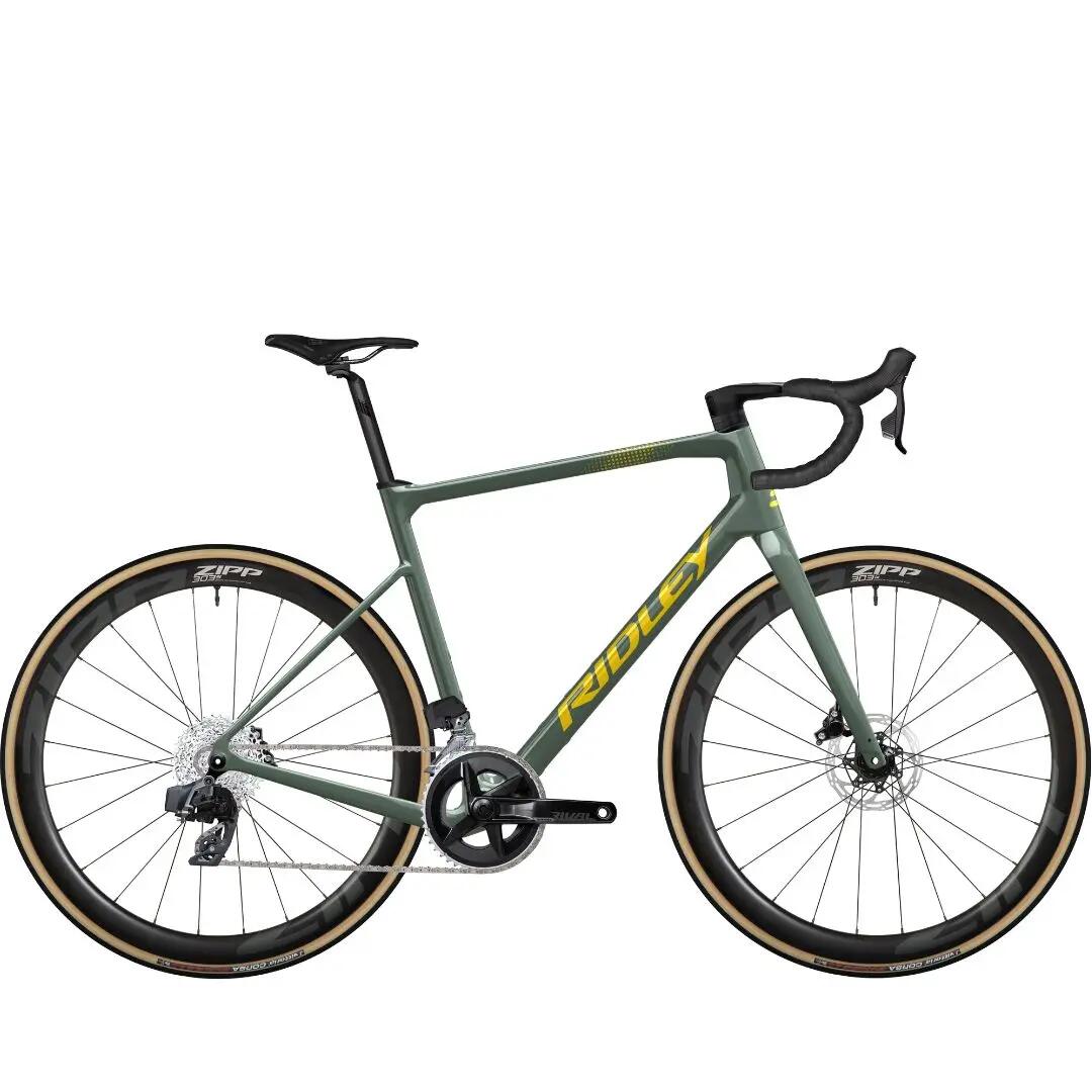 RIDLEY picture