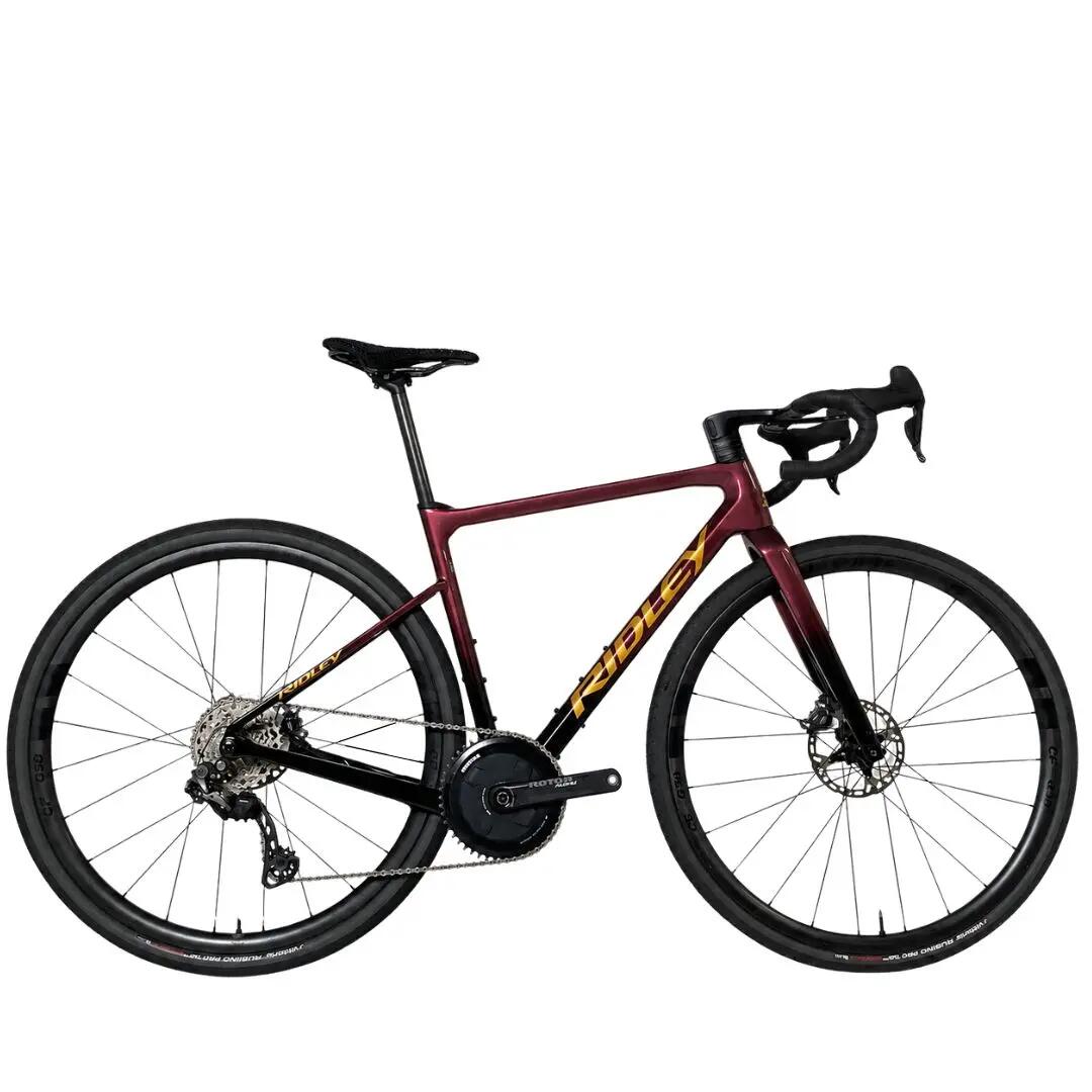 RIDLEY picture
